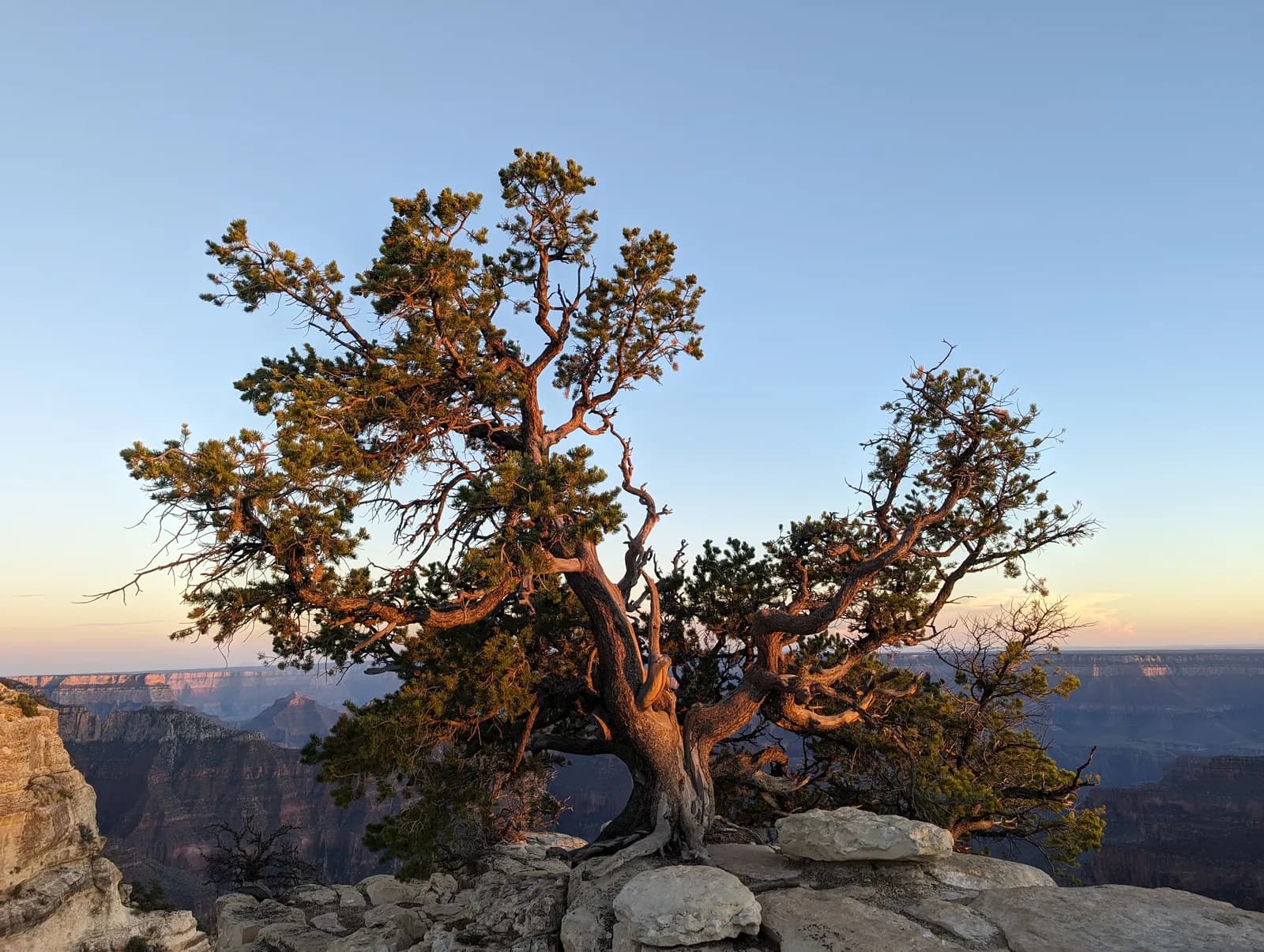 North Rim du Grand Canyon